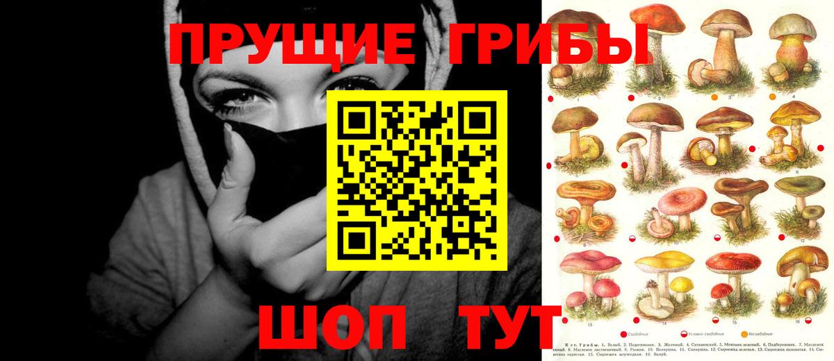 Псилоцибиновые грибы прущие грибы Сланцы