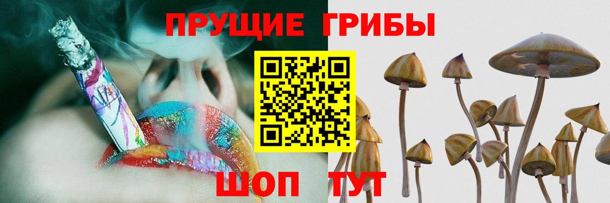 Сланцы  Псилоцибиновые грибы Cubensis  Вход с VPN 