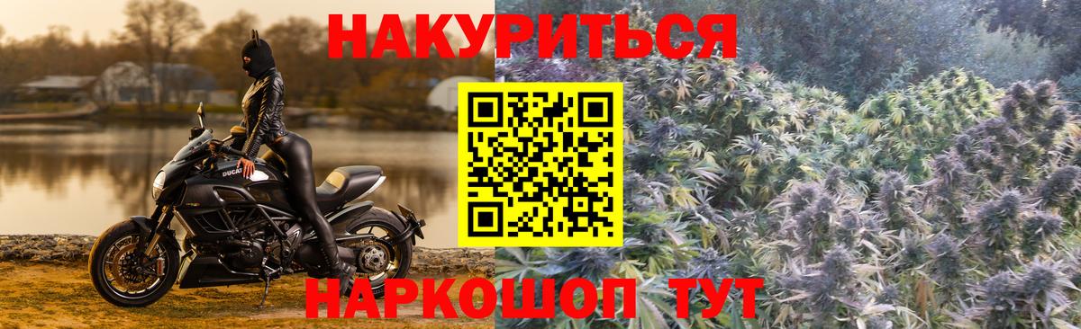 Бошки Шишки ГИДРОПОН Сланцы